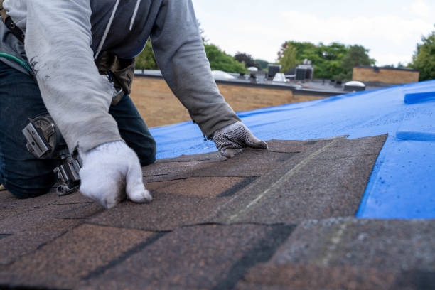 Quick and Trustworthy Emergency Roof Repair Services in Shingle Springs, CA