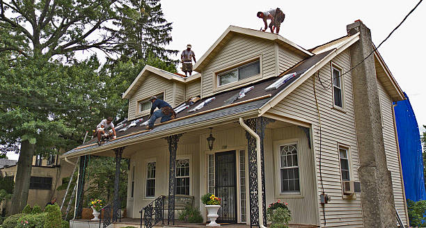 Best Flat Roof Repair Services  in Shingle Springs, CA