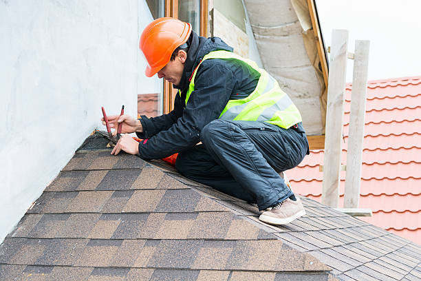 Best Roof Gutter Cleaning  in Shingle Springs, CA