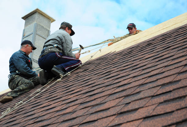 Best New Roof Installation  in Shingle Springs, CA