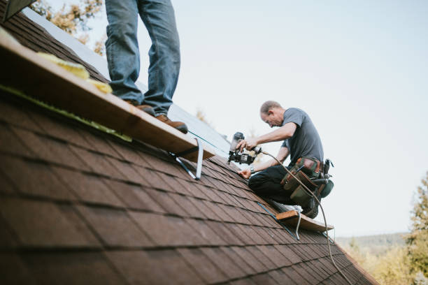 Best Roof Leak Repair  in Shingle Springs, CA
